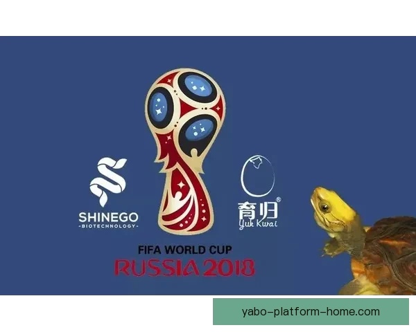 掌握世界杯竞猜胜负技巧提高命中率与风险控制全攻略实战经验解析