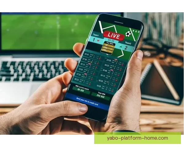 世界杯竞猜网站大全推荐安全热门平台实时赔率指南新手必看权威汇总